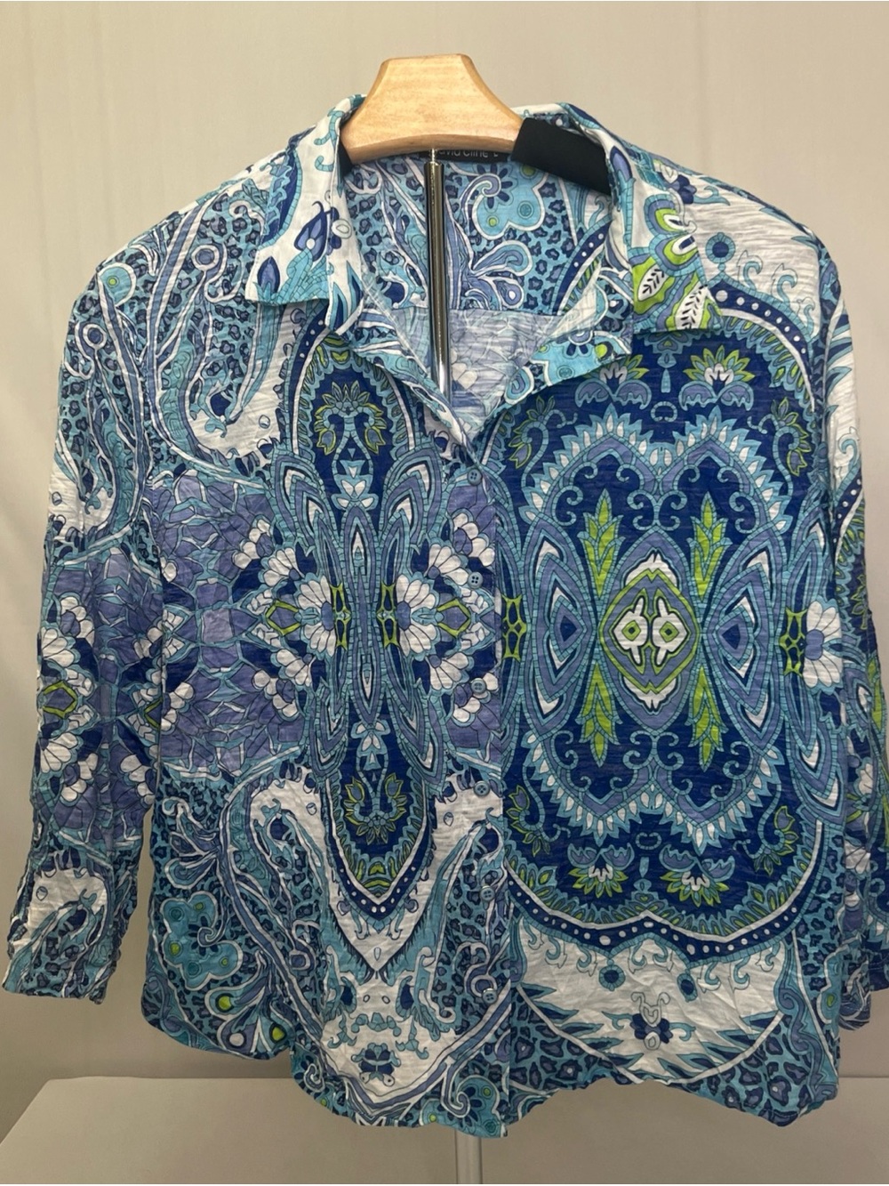 David Cline Blue Teal Paisley Print Top